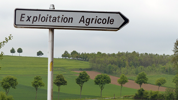 Ouvrier E S Agricoles La Suisse Exempte Des Schemas D Exploitation Agriculture Paysanne Et Travailleurs Saisonniers Migrants